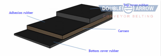 15119458375944444qfE.jpg zhiwuxinjiegou563.jpg